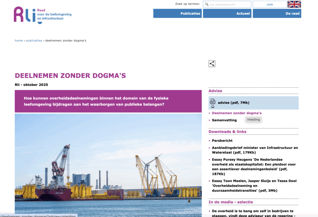 Schermafbeelding van een RLI advies op de website